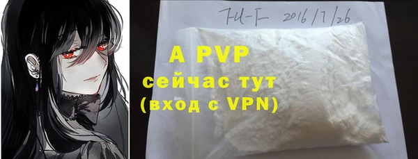 PSILOCYBIN Балабаново