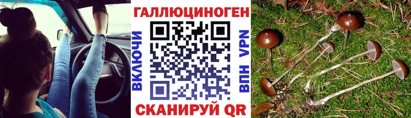 Псилоцибиновые грибы GOLDEN TEACHER  Купить где  Михайловск 